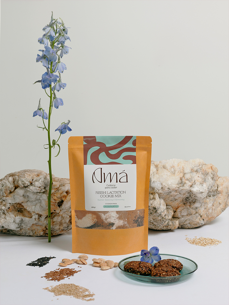 REISHI LACTATION COOKIE MIX - Image 5