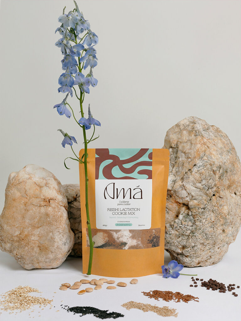 REISHI LACTATION COOKIE MIX